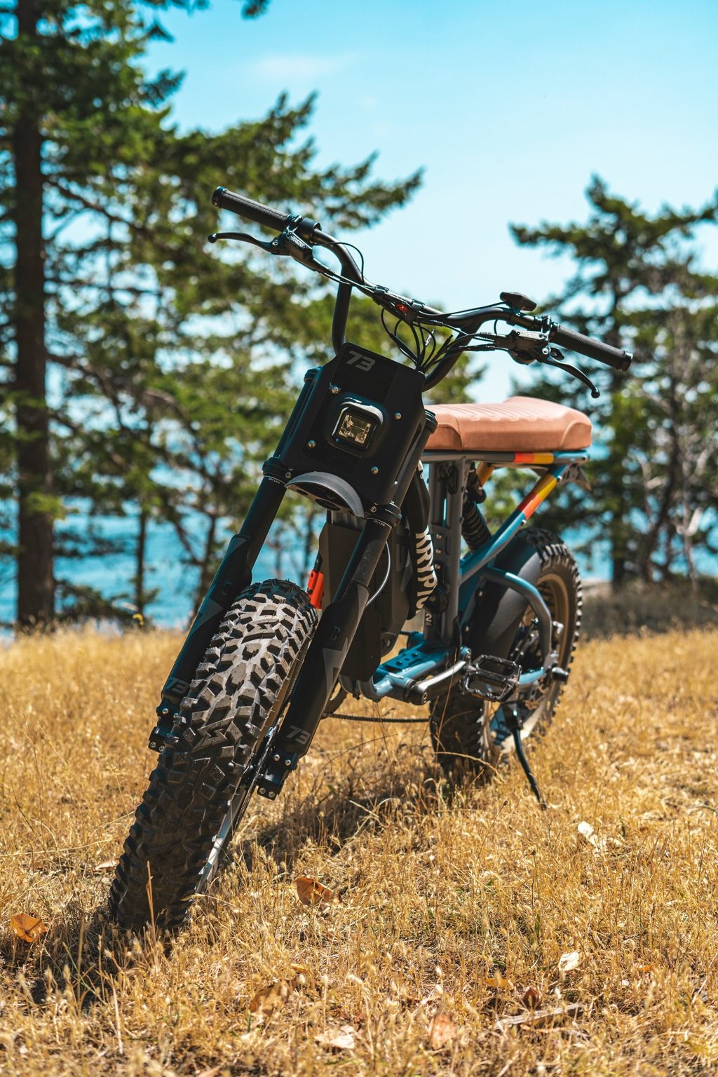 Aggressive fat-tire off-road style e-bike parked in dry grass