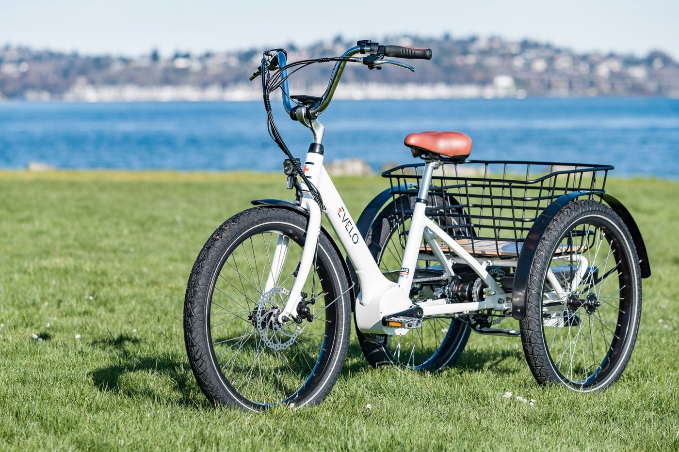 Utility e-trike with a large rear basket parked on grass